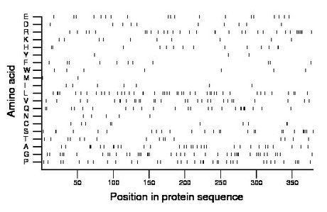 amino acid map