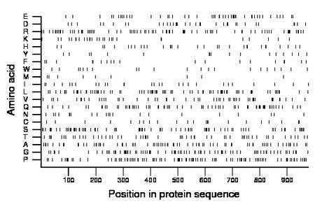 amino acid map