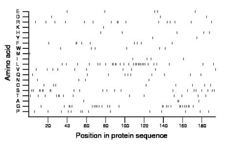 amino acid map