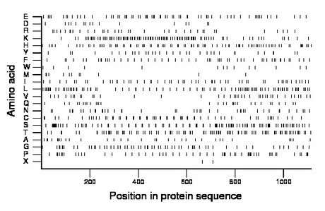 amino acid map