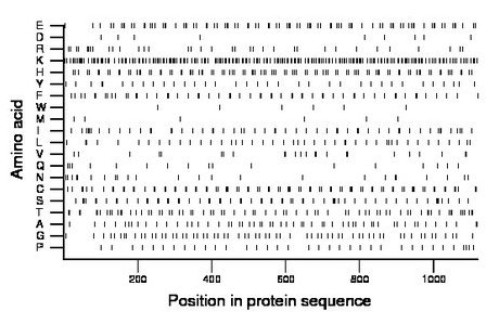 amino acid map