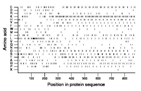 amino acid map