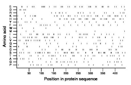 amino acid map