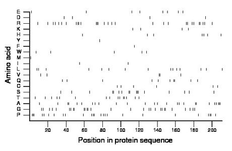 amino acid map