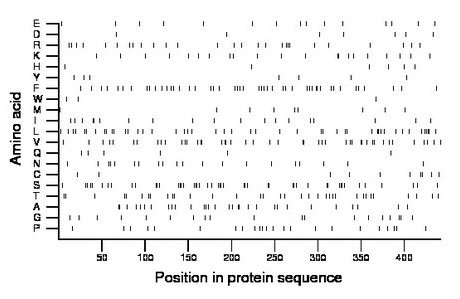 amino acid map