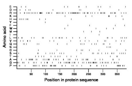 amino acid map