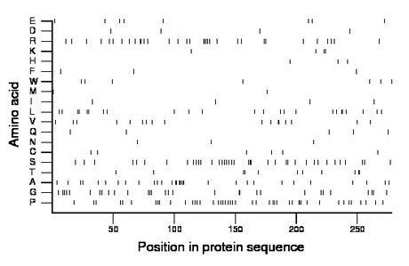 amino acid map