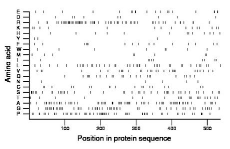 amino acid map