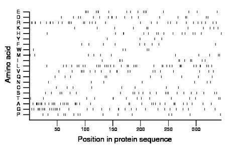 amino acid map