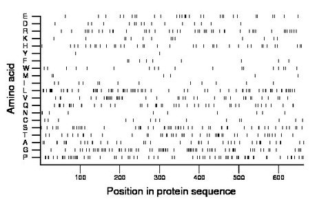 amino acid map