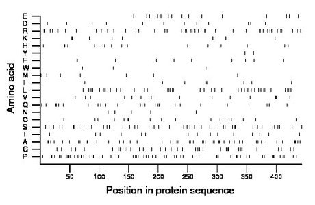 amino acid map