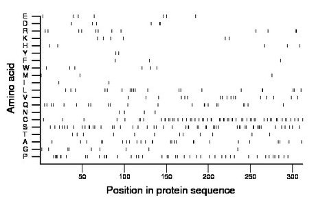 amino acid map