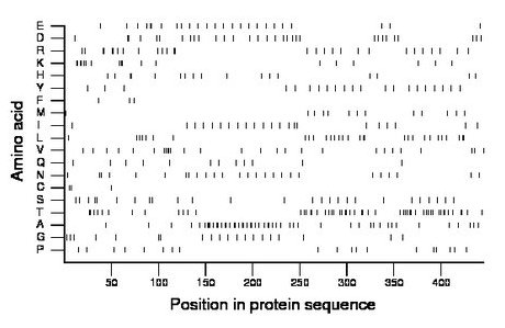 amino acid map