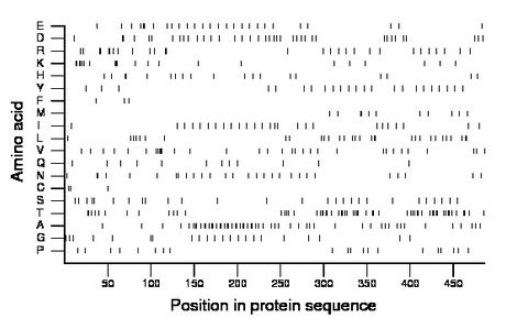 amino acid map