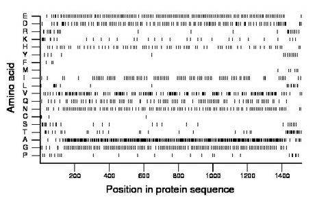 amino acid map