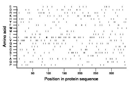 amino acid map