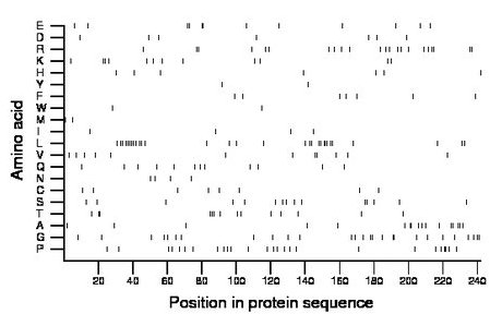 amino acid map