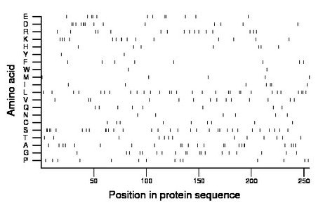 amino acid map