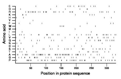 amino acid map