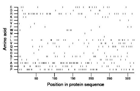 amino acid map