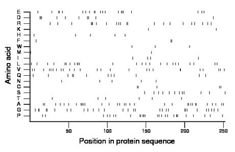 amino acid map