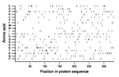 amino acid map