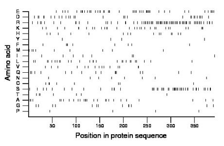 amino acid map