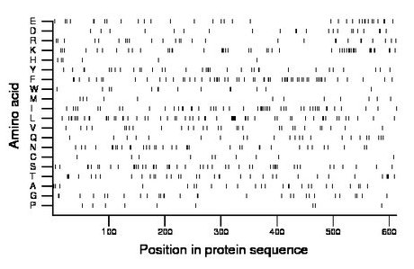 amino acid map