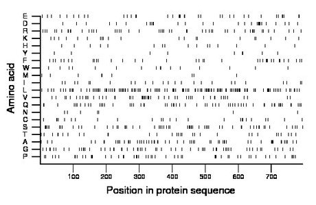 amino acid map