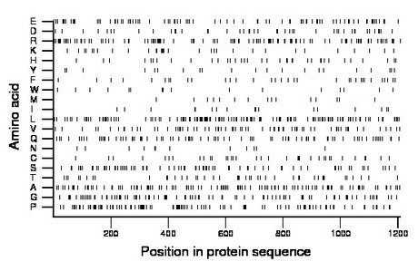 amino acid map