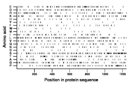 amino acid map