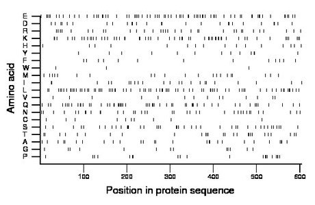 amino acid map