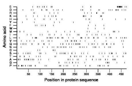 amino acid map