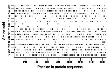 amino acid map