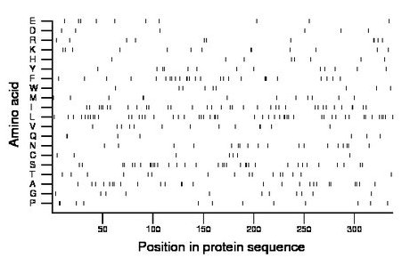 amino acid map