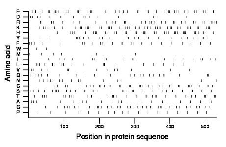 amino acid map