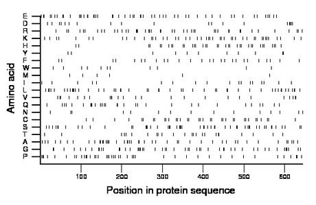 amino acid map