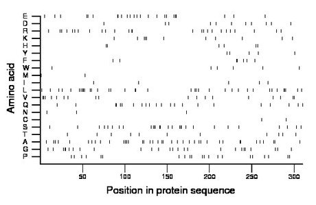 amino acid map