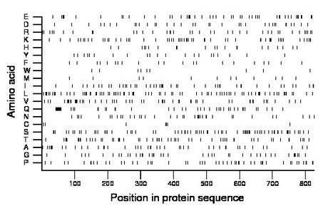 amino acid map