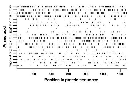 amino acid map