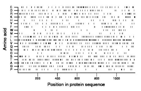 amino acid map