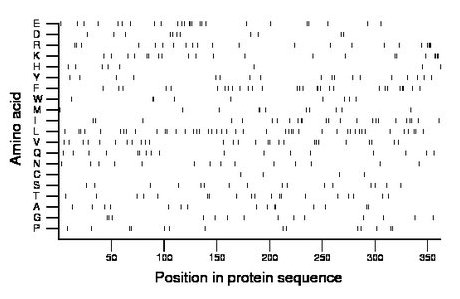 amino acid map