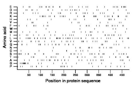 amino acid map