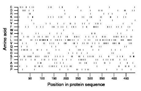 amino acid map