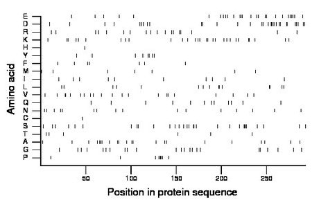 amino acid map