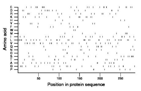 amino acid map