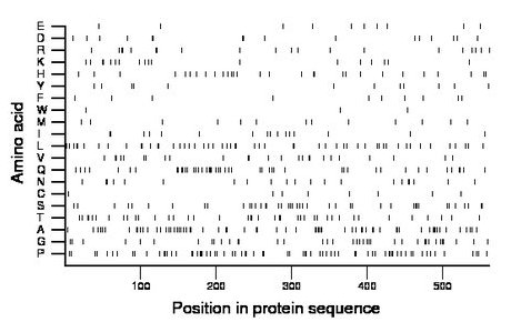 amino acid map