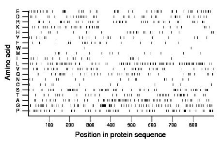 amino acid map