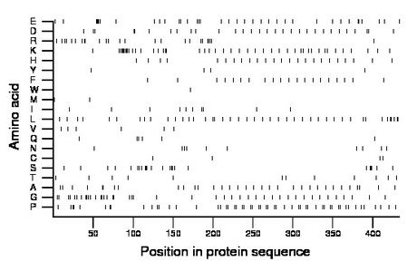 amino acid map