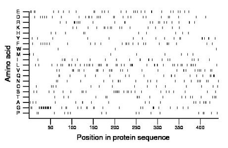 amino acid map